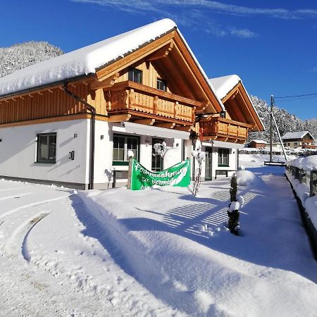 Appartement Zweimaederlhaus à Bad Mitterndorf Extérieur photo