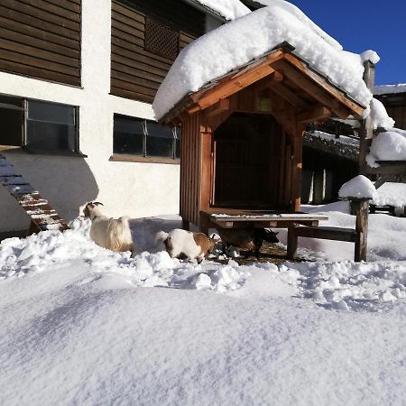 Appartement Zweimaederlhaus à Bad Mitterndorf Extérieur photo