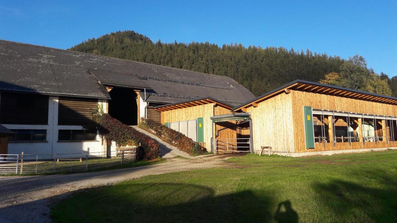 Appartement Zweimaederlhaus à Bad Mitterndorf Extérieur photo