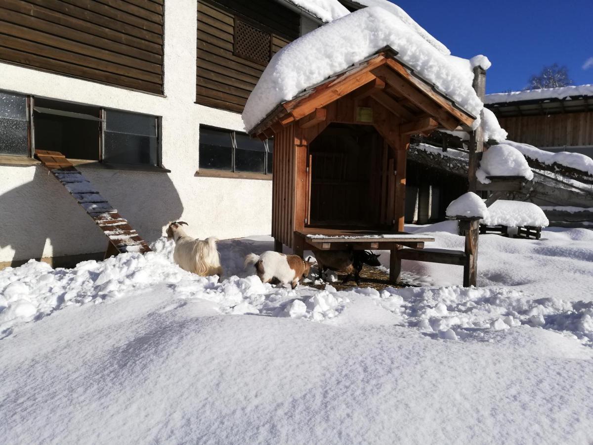 Appartement Zweimaederlhaus à Bad Mitterndorf Extérieur photo